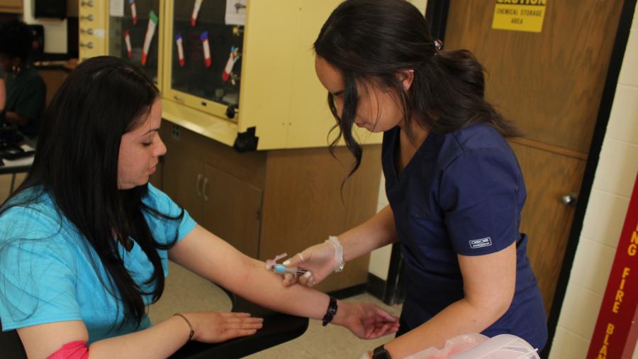 phlebotomy student drawing blood from another student's arm