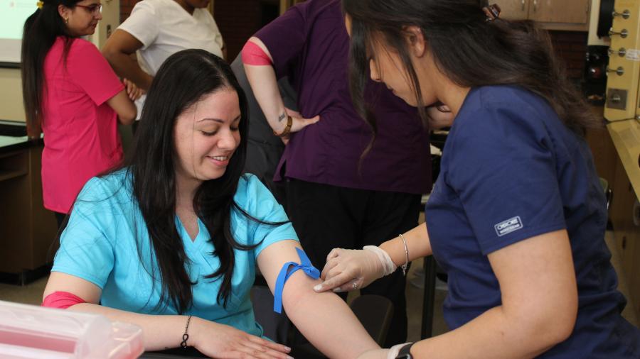 phlebotomy student finding the vein in the arm of another student